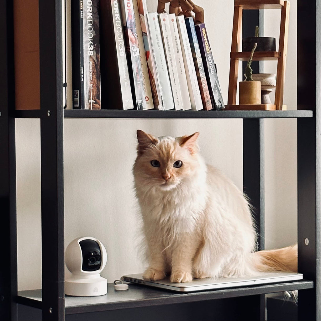 Kasa 1080p Pan/Tilt Smart Pet Camera with Night Vision