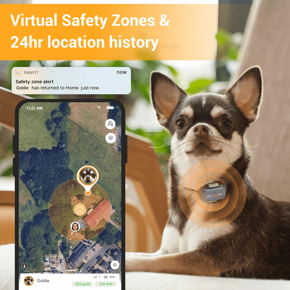 Pawfit Lite 4G GPS Dog Tracker, Live Tracking, Ultra-Light