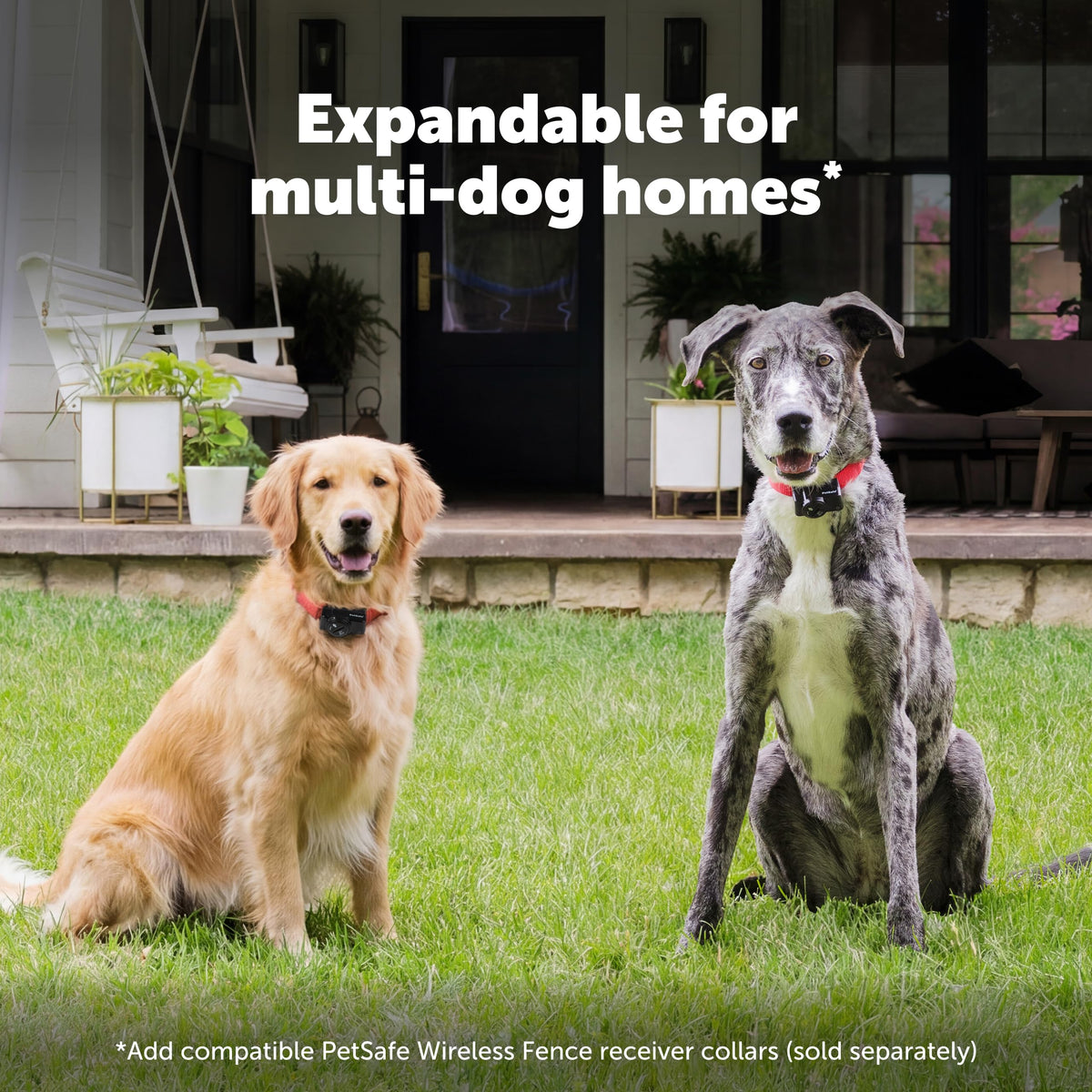 PetSafe Wireless Dog Fence System for Secure Containment