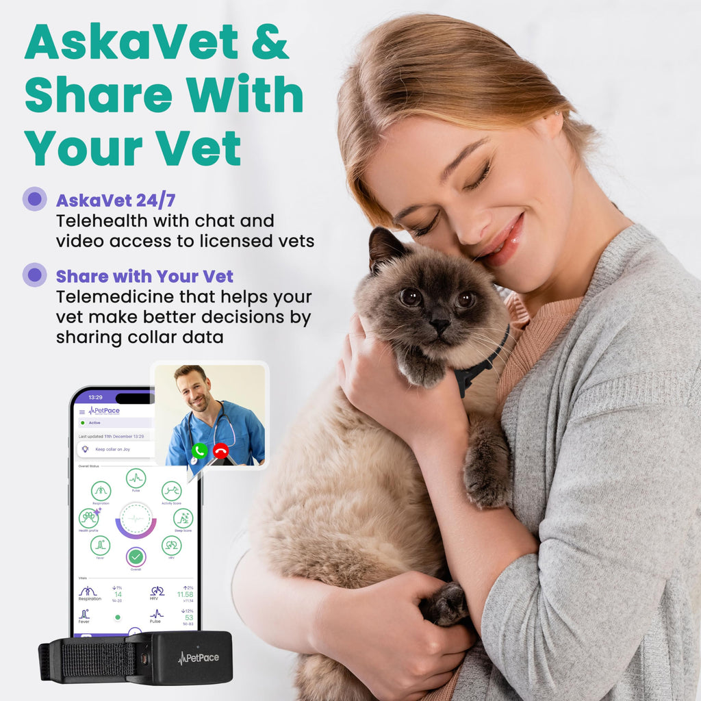 PetPace V3.0 AI Cat Health & GPS Monitoring Collar
