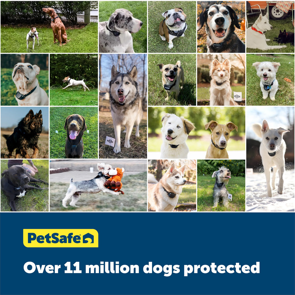 PetSafe Stubborn Dog In-Ground Fence Kit with 1000 ft Wire