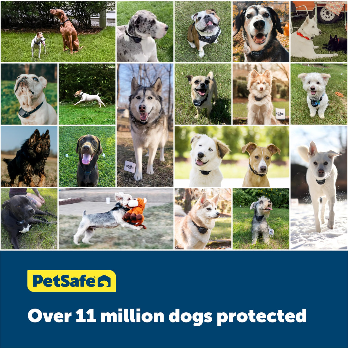 PetSafe Stubborn Dog In-Ground Fence Kit with 1000 ft Wire
