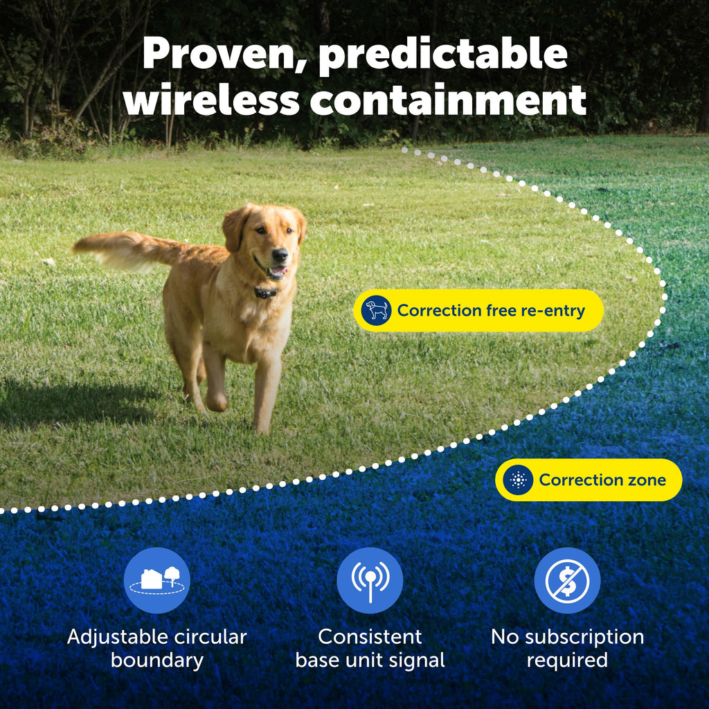 PetSafe Wireless Dog Fence System for Secure Containment